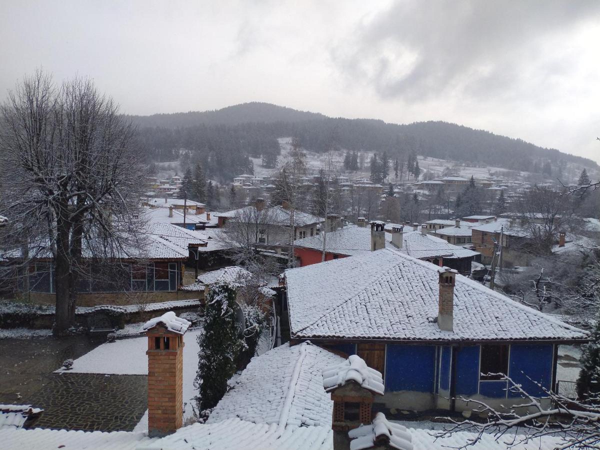 Стаи За Гости Дора Kopriwschtiza Exterior foto