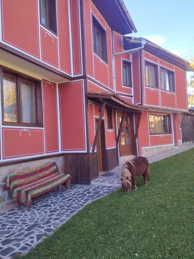 Стаи За Гости Дора Kopriwschtiza Exterior foto